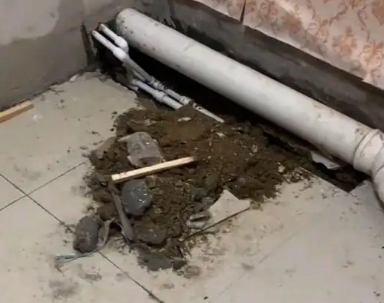 涡阳卫生间漏水检测哪家好