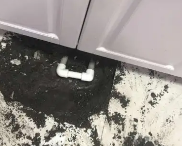 涡阳查漏水哪家好